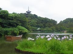 ハナショウブ時の三渓園