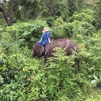 チェンマイでゾウ使いになるぞぅ ～Thai Elephant Home