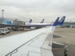 ANA315便 羽田→富山