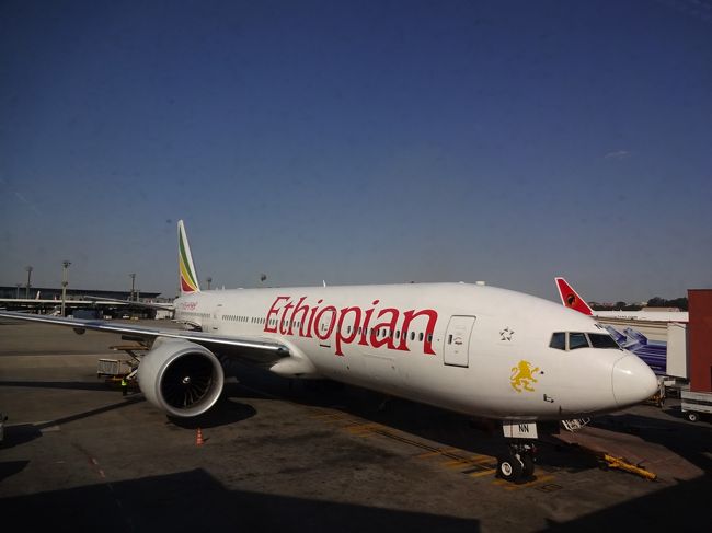 2015年の夏季休暇はブラジル・レンソイスへ行って来ました。<br />利用したエアラインはエチオピア航空。<br />成田⇔エチオピア／アジスアベバ線は2015年に出来たばかりの新しい路線です。日本からブラジルへ行く場合、ヨーロッパ経由か北米経由が一般的ですが、これに「アフリカ経由」が加わったことになります。<br />サンパウロまでは約30時間。キャリアを変えることも無く成田で受け取ったボーディングパスでそのままブラジルまで行ける路線としては、かなり早い方ではないでしょうか？<br />機材はB787でシート回りは問題なし。サービス内容もまずまず。<br />そして、他社と比較して圧倒的なアドバンテージが、ブッキングクラスに関係無く、ANAへのマイル積算率100％ということ。往復で25000マイルも貯まりました。<br />ただ、これは2015年9月から改悪。今後はブッキングクラスに応じて積算率が変わります。とはいえ、航空券代も安いので今後も利用する機会がありそうです。<br /><br />この旅行記は成田⇔サンパウロ往復の様子を搭乗記として切り出したものです。<br />ブラジル観光の様子は別途旅行記を書いていますので、是非そちらもご覧下さい。<br /><br />＜行ったところ＞　※この旅行記は★のところ<br />☆サンパウロ　リベルダージ地区<br />☆バヘリーニャス　レンソイス・マラニャンセス国立公園<br />☆バヘリーニャス　セスナ観光＆町歩き<br />☆バヘリーニャス　プレグィシャス川下りツアー<br />☆イグアスの滝　　～帰国<br />★（番外編）エチオピア航空 搭乗記<br /><br /><br />＜基本情報＞<br />■旅程<br />　2015/08/07（金）　<br />　　(1) ET673　成田(20:45)→アジスアベバ(07:35+1)<br />　2015/08/08（土）　<br />　　(2) ET506　アジスアベバ(08:45)→サンパウロ(14:45)<br />　　(3) G31902　サンパウロ(23:40)→サンルイス(03:24+1)<br />　2015/08/12（水）　<br />　　(4) G31901　サンルイス(02:50)→サンパウロ(06:15)<br />　　(5) G31365　サンパウロ(08:20)→リオデジャネイロ(09:15)<br />　　(6) G31460　リオデジャネイロ(10:10)→フォス・ド・イグアス(12:13)<br />　　(7) JJ3168　フォス・ド・イグアス(18:52)→サンパウロ(20:40)<br />　2015/08/13（木）　<br />　　(8) ET507　サンパウロ(02:30)→アジスアベバ(20:30)<br />　　(9) ET507　アジスアベバロ(22:15)→成田(19:30+1)<br /><br />■航空券<br />　・成田⇔サンパウロ　(1)+(2)+(8)+(9)<br />　　エチオピア航空　146,480円<br /><br />　・サンパウロ→サンルイス　(3)<br />　　ゴル航空　デルタ航空マイレージ12,500 ＋ 7.9ドル<br /><br />　・サンルイス→フォス・ド・イグアス 　(4)+(5)+(6)<br />　　ゴル航空　デルタ航空マイレージ12,500 ＋ 7.9ドル<br /><br />　・フォス・ド・イグアス　(7)<br />　　TAM航空　66.62USD=8,453円<br /><br />　獲得マイレージ<br />　　25,436マイル（ANAに加算）<br />　　125マイル（ブリティッシュエアウェイズに加算）<br /><br />■宿<br />　Cama, Cafe e Aventura　2泊朝食付き 6,270円<br /><br />■両替<br />　・クレジットカード（キャッシング）<br />　　1BRL＝35.56円（利息＆手数料込：36.44円）<br />　・クレジットカード（ショッピング）<br />　　1BRL＝36.14円～37.07円<br />　