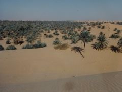 (10)1987年サハラ砂漠縦断　西アフリカと中央アフリカ横断の旅12か国64日間⑩アルジェリア（インサラー）