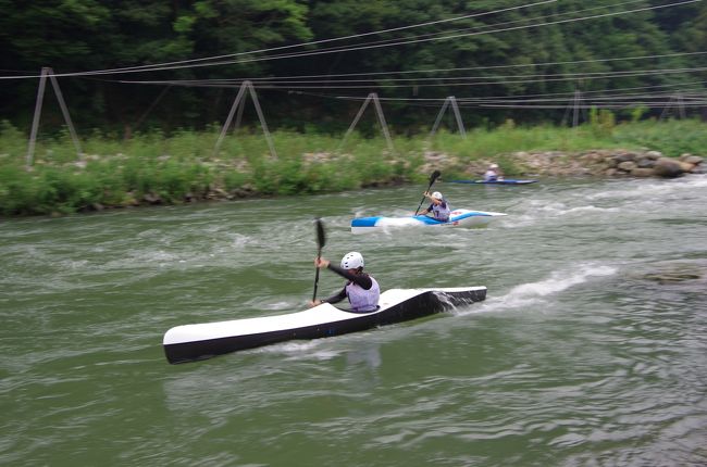 山口県萩市の川上地区には川上ダムが有り、その真下に広がる渓流で日本カヌー界のトップレベルが集まるジャパンカップが8/29〜8/30までの二日間行われます。私は8/29に行われるワイルドウォーターの男女の競技大会を見ました。<br />カメラを構えているとスタッフの方に呼び止められたので撮影場所の注意や肖像権の注意などをされるのかなと思っていると、<br />名前を本部で登録されると紫色のスタッフ用ランキングシャツ（ビブスと呼ぶらしい）を着て競技の邪魔にならない範囲で撮影してもOKとのことでした。<br />ジャパンカップなのに観客は関係者や選手の家族が大勢を占めていました。<br />ワイルドウォーター競技は初めて生で見ましたが迫力とスピード、技の凄さに感心し感動しました。<br />萩市では2011年の山口国体から毎年行われているようなので時間が許せば今後も観戦したいと思いました。<br />付近は阿武川沿いの自然に溢れた場所で近くには阿武川ダムの他、阿武川温泉やキャンプ場もあるので家族連れでも楽しめるかと思います。