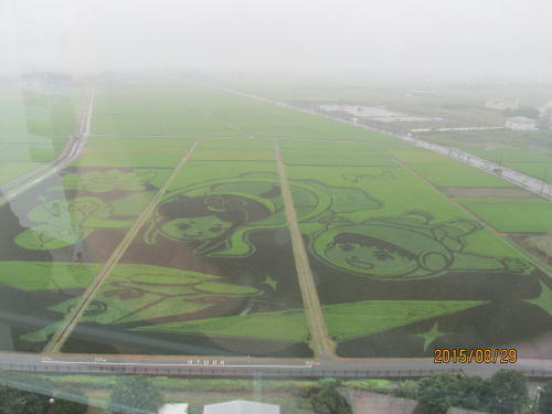 埼玉県行田市にある「古代蓮の里」、この中に田んぼアートがあります。図柄は見て取れますが、９月中旬の稲が黄金色になった時が最高です。平成２０年から始めて８回目、今年のテーマは「未来へつなぐ古（いにしえ）の軌跡」です。「古代から未来へ　夢をつなぐまち　ぎょうだ」をイメージして古代蓮・地球・子ども達・宇宙・はやぶさ２・を７種類の稲で28,000?の水田に813人のみんなの手で描きました。