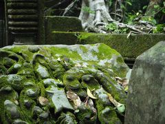 初　アンコール遺跡　③朝日・パブストリート・ベンメリア