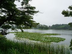 宇都宮から白河までのちょい旅行（二日目・完）～白河の街歩きって、寺だらけ？！すべてを見せたい地元の熱い思いに支えられた観光案内の賜物です～