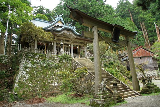 山深く霊気みなぎる玉置神社　神秘的です。　帰り道、谷瀬のつり橋を渡って来ました。<br /><br />自宅のある堺から車で約３時間半。ちょっと遠いですが思い切って玉置神社参拝です。<br />玉置山中腹に鎮座する玉置神社。<br />駐車場よりピーンと張りつめたような、厳かな気持ちになる参道を歩くこと約２０分で本殿へ。<br />