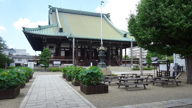 　戦国時代から続く環濠自治集落「平野」の町歩きでした。以前何度も来ていますが、昨日は行く気も無しに走っていると着いた。と、云う感じでしたがそれなりに新発見も。また、古い町並みを生かした新しい町づくりも、中々困難であるという実感もしました。<br />　河内から入りますので。国道２５号を跨ぐと平野郷樋尻口門跡に、この辺りが東の端あたり。この辺りを南北に貫くのが「中高野街道」、横切るのが「奈良街道」。平野川には大阪・柏原間の「柏原船」が行き来するため、自然と莫大な冨も吸い寄せられるはずです。<br />　関西線と平野渋谷線に囲まれた範囲が環濠集落ですが、江戸時代の地割りが克明に残っているのが、国道２５号から南一帯です。古い和菓子屋さん、何屋さんとも判断が出来無い洒落たお店、道標等が点在しています。彷徨っているだけでも楽しくなります。今回は訪れませんでしたが、杭全神社と連歌所及び周辺の環濠跡も必見でしょう。<br />　さて、新しい町づくりの困難ですが、古い町割りの中に、＊＊屋博物館等が点在していました。それぞれの店主が、創意とお金を出し合って行われていたのですが、今回は「閉館中」が多く見られました。個人の心意気では限界があるので、それを町全体もしくは行政がバックアップする必要を感じさせられました。<br /><br />　例月墓参にはには少し早いですが、盛夏故少し墓の槇のやつれが気になるので「高野槙」を求めて四天王寺さんへやって来ました。昨日とは違い風が無い中直射日光をあびつつ、途中は平野環濠集落跡などを散策して、四天王寺南門へ。伽藍配置から見ると、どうやら南が正門のようです。<br />　大坂夏の陣では「天王寺口」と表現される、激戦の場所でしょう。ここから「極楽門」と呼ばれる西大門を少し西に折れると「露天街」。一番東端に「高野槙屋」がありますが、亭主は昼飯時分でお留守で一軒隣の「さつま名物屋」さんが受け答え。この辺は、上手く連携が出来ている。<br />　槇を購入してここから一気に河内を目指して、上町台地を東へ下ります。行きは登りで帰りはヨイヨイと、信号がなければと思いつつ罰則が厳しくなっているので自制し走ります。追い風に下りですから、絶好調と行きませんが思いの外快適に墓所のある河内まで戻りました。<br />