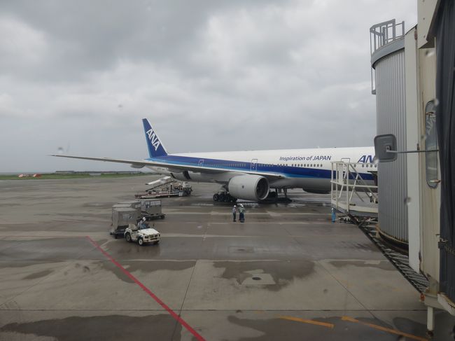 国内線最長のフライトを含めての日本列島ぐるぐるの旅してきました。<br />台風が心配でしたが何とか無事行けました。<br />今回は、以下の様な３フライトです。<br /><br />(1)8月22日 ANA51・羽田-新千歳　B777-300 JA754A<br />(2)8月22日 ANA1693・新千歳-那覇　B737-800 JA77AN<br />(3)8月23日 ANA2158・那覇-成田　B767-300 JA8670<br /><br />今回は、(3)那覇〜成田の旅です。