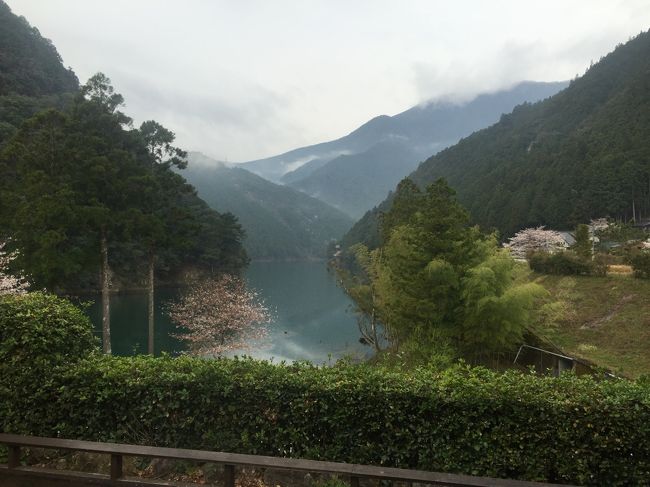 春休みの旅行は和歌山県北山村のおくとろ温泉～酷道169号にて、怖かった、、那智の滝を見てから串本海中公園に隣接するログハウスに泊まり、翌日海中公園をゆっくり見学しました。