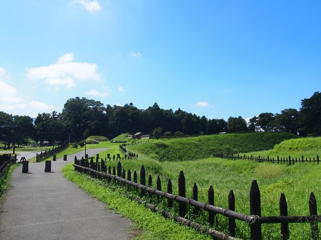 １００名城を周って、今回で１６城目となります。埼玉県の北部に位置する寄居にある「鉢形城」を攻めてきました。<br />あの武田信玄も攻略できなかった鉢形城は、荒川と深沢川に挟まれた断崖絶壁で自然の要塞でした。<br />だが、豊臣秀吉の５万の兵にはどうすることもなく降伏し、持ち主は北条氏から後北条氏へ。その後、城主は家康となる。<br />もともと関東は北条氏が広く治めていた。小田原を本拠地として、八王子城、鉢形城、韮山城を防衛の拠点としていた。<br />今は城跡しか残ってないのだが、のんびりと想像しながら歩くのは楽しい。歩いていると、あちらこちら歩かされているようで<br />なかなか攻めにくい。城へのアプローチは自分がこの城を攻略してやろうという気持ちでいると余計に面白い。<br />天気に恵まれ、気持ちのいい散歩でした。その後歩いて川の博物館へ行きました。ローカル色の強いまったりとした施設<br />でした。途中に手打ちうどんの店にふらりと寄りました、絶品でした。名物のホイップカレーうどんを食べないで、<br />肉うどんを食べたことに少し後悔してます！！