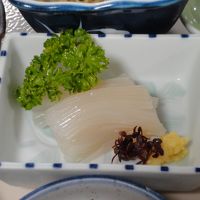 透きとおるイカ刺しを食べに函館へ