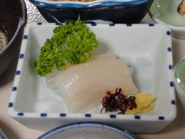急きょ決まった夏休みで、国内に一泊二日でどこかに行こうと検討した結果、透きとおるイカ刺しを食べたいね、と意見がまとまりました。<br />佐賀の呼子、鳥取、函館の三つが候補になったのですが、呼子は空港からのアクセスがとんでもなく悪い、鳥取空港はANAしか飛んでいない(JAL派なもので…)ことから、消去法で函館にしました。<br />また、妻が昨年の玉造温泉以来、温泉に目覚めたものですから、やはり温泉に泊まろうと調べていたら、何と函館空港からタクシーで10分のところに湯の川温泉があり、またそこの夕食や朝食で透きとおるイカが食べられるとのことで、湯の川温泉宿泊に決めました。<br />例によって観光は一切せずに、函館の街にも行かずに、のんびりと過ごしました。