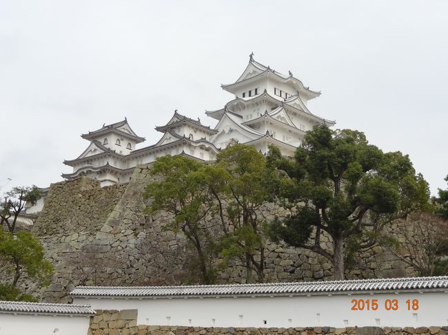 公開される前の真っ白な姫路城を撮りたかった。また、赤穂浪士の生き様も見たかった。