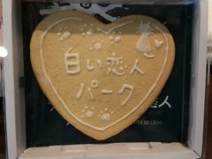 レジャースポット