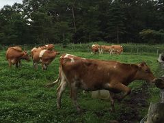 栃木県那須町…那須高原に行きました。