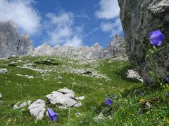 チロル　ヴィルダーカイザー地方　エルマウからグルッテンヒュッテンへハイキング　2015年オーストリア旅行【7】