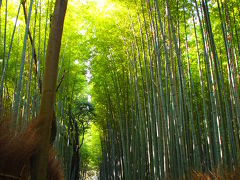 娘と2人で京都旅行④3日目　嵐山渡月橋～嵯峨野竹林の小径