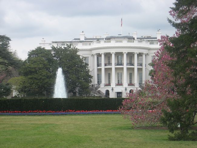 私がワシントンD.C.を訪れた時には、ポトマック河畔の桜（ソメイヨシノ）はすでに散っていましたが、ホワイトハウスやアーリントン墓地で、数本の遅咲きの桜見ることが出来ました。ワシントンにある桜は明治時代に日本から送ったものがルーツですが、その歴史的背景について紹介します。表紙写真はホワイトハウスと桜です。<br /><br />日本から最初にワシントンに桜の苗木を贈ったのは1909年です。しかしこの苗木には害虫が発生し、全量焼却処分となりました。この結果を受けて害虫に強い苗木を育成し再度ワシントンやニューヨークに贈ったのが1912年で、2012年は丁度100周年にあたりました。<br /><br />毎年3月末から4月の始めのシーズンには、盛大な「桜まつり」が開催されていますが、2012年には100周年を記念してワシントンやニューヨークで記念行事が行われました。各地で記念の植樹やパレード、桜にちなんだコンサートなどの文化交流が行われ、日本政府も東日本大震災後のアメリカの支援活動に対する感謝を込め、日米友好を象徴する桜を通じた交流に協力しました。<br /><br />下は英語ですが、ワシントD.C.の桜まつりとその歴史的な経緯の解説です。<br />Cherry Blossom Festival Washington DC<br />Finleyholidayさん　2009/02/04 にアップロード<br />https://www.youtube.com/watch?v=Eh9AzRfDg4c#t=33<br />ここでは、旅行記に関連する事項として、ワシントンの桜をめぐる日米の歴史について紹介します。