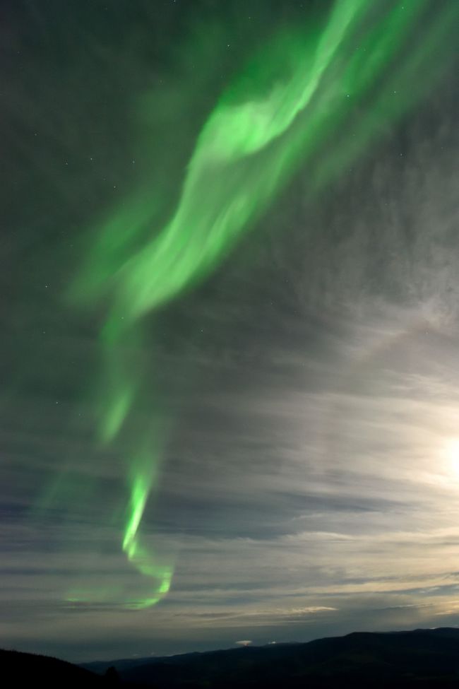 　地球磁場と太陽風が、大気圏と深宇宙のはざま、いわば宇宙の渚で繰り広げる神秘なる光の舞、オーロラ。初めて2年前にアラスカにオーロラハンティングに行くも、満足できるオーロラが見られず残念な想いをして以来、リベンジしたいという気持ちを抱き続けてきたが、ようやく、再挑戦の機会が巡って来た。<br />　オーロラを見るだけなら晴天率が高く空気が澄んだ冬が良いのだが、あの極寒はつらい。夏が終わり初秋であれば、オーロラが見られるとともに、極北のツンドラの紅葉にも出会えるとあって、今回はカナダ極北、ユーコン準州のホワイトホース、ドーソンシティに出掛けた。<br />　海外旅行では行動の自由を確保するため、いつもは個人手配旅行が多いのだが、さすがに今回は広大な無人の荒野に点在する小都市でオーロラとツンドラ紅葉という特定の目的のための旅行なので、それにふさわしい某旅行社の撮影ツアーに参加することにした。<br /><br />ツアー日程の概略は以下の通り<br />8月27日　成田よりバンクーバー経由でホワイトホースへ。<br />　　　　　当日23時よりオーロラ撮影<br />8月28日　バスにて北米最後のフロンティア、ドーソンシティへ移動<br />　　　　夜中にミッドナイトドーム山頂上にてオーロラ撮影<br />8月29日　ロケハンをかねてツンドラ紅葉のポイント、トゥームストーン準州立公園へ。23時、ドーソンのユーコン川河畔にて3回目のオーロラ撮影<br />8月30日　寝る間もなく、早朝4時半に再びトゥームストーン準州立公園へ。<br />　　　　　グリズリー山脈のモルゲンロートとツンドラ紅葉撮影<br />　　　　　9時ごろホテルに戻り、夜のオーロラ撮影に備え、仮眠など。<br />　　　　　23時、ユーコン川河畔にてオーロラ撮影<br />8月31日　クロンダイクハイウェイをひた走りビューポイントで撮影しながらホワイトホースに戻る。夜は、シュワカ湖畔にて最後のオーロラ撮影<br />９月１日　早朝４時にホテルをチェックアウトし、帰国の途へ　翌日成田着<br /><br />以上の通り、一般的観光などはなく、ひたすらオーロラと紅葉の撮影のためだけの実にストイックな旅行スケジュールである。<br />はたして、その成果はどうであったか？<br /><br />以下単純な時系列ではなく、内容によって５編に分けて旅行記を作成したいと思う。<br />（１）　オーロラ編　（本編）<br />（２）　ツンドラ紅葉編<br />（３）　ユーコン準州州都ホワイトホース街歩き編<br />（４）　クロンダイクハイウェイドライブ編<br />（５）　ゴールドラッシュに沸いた北米最後のフロンティア、ドーソンシティ編<br /><br />