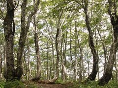 福井再発見　平家平へ　（秋の植物物語）