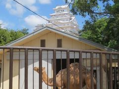 世界遺産の姫路城 動物園も忘れずに！