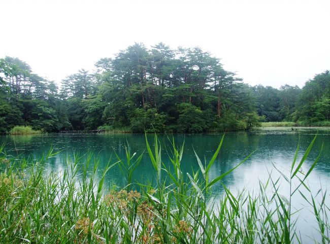 新潟・新発田での諸事の垣間に、聖籠町のぶどう園、そして少し足を延ばして福島の五色沼、会津鶴ヶ城を訪れます。<br /><br />表紙は、雨のため裏磐梯は見えませんが、いつも青緑色の美しい水面を見せてくれる毘沙門沼