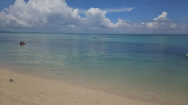 竹富島での楽しみは、コンドイビーチの海水浴、星砂探しのカイジ浜と、水牛観光。<br /><br />コンドイビーチは驚きの青さ！なんじゃこれは？国内にもエメラルドグリーンの楽園ってあったんだ〜。ただただ感動。<br /><br />カイジ浜では黙々と星砂探し。小さくて根気がいるんです。<br /><br />水牛観光は八重山諸島ならではの観光方法で南国気分を満喫。