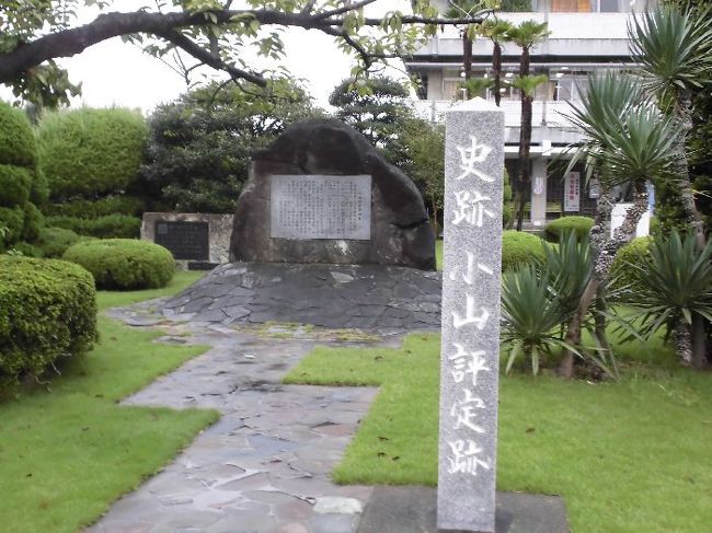 「日光街道」紀行の第2回目を実施した。霧雨の降る中、暑さの心配はなく、古河から小山までの行程を楽しむ。<br />国道4号線歩行がほとんどだったが、周辺の神社にも寄り道した紀行で、充実したものだった。<br /><br />　　　http://ks5224.fc2web.com/no02hp/no02-1.html