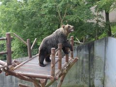 登別温泉で泊まりクマ牧場で遊ぶ