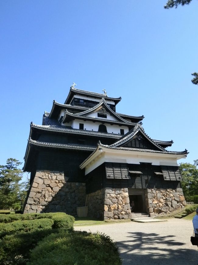 ８月下旬に家族みんなで１泊２日で島根県の出雲の方へ旅してきました。<br /><br />今回は私がＪＡＬのステータス上級会員になったので、息子の私がこの機に両親に孝行しようと思い企画をしました。<br />家族の希望は島根県の出雲と松江を中心に巡ってみたいとのこと。ということでＪＡＬパックで手配をし、８月下旬に予定を立てて行くことになりました。<br /><br />ですが、父の突然の入院治療、出発寸前の台風でのフライトキャンセル！<br />行けるのぉ〜？？？と思いつつ、まさに奇跡的に行くことができました。<br />家族全員、一同「本当にこんなラッキーな旅はあり得ない！」と何度も言うくらいのものでした。<br /><br />ということで、台風にもめげずに無事に出雲に到着し、旅行日一日目が終わりました。<br />二日目で八重垣神社や松江城、塩見縄手の武家屋敷など松江市内を散策してから飛行機に乗って東京へ帰ろうと思います。<br />どうぞご覧下さい(-人-)。<br /><br />【旅行行程】<br />・旅行１日目(8月26日)<br />自宅出発、私の車にて東京羽田空港へ→東京羽田7:25発ＪＡＬ277便搭乗→出雲縁結び空港8:50着<br />レンタカーで出雲大社、日御碕神社などを観光<br />車で宿泊先へ<br /><br />宿泊先：玉造温泉玉造国際ホテル<br /><br />・旅行日２日目(8月27日)<br />八重垣神社＆松江市内観光(松江城、堀川めぐり、塩見縄手など)<br /><br />レンタカー返却後、出雲縁結び空港16:35発ＪＡＬ284便搭乗→東京羽田17：55着、車にて帰宅<br /><br /><br />【旅行手配】<br />・航空券<br />ＪＡＬパック「[プロモーション]ズバリ 山陰・山陽・四国 夏・秋版 ＜松江（松江しんじ湖温泉）・出雲＞２日間」<br />宿泊先松江ニューアーバンホテル泊<br />４人で総額117,420円(一人29,355円)→ホテル代キャンセルのため22,000円返金、航空券のみの支払い４人で95,420円(一人23,855円)<br /><br />・宿泊<br />玉造温泉玉造国際ホテル「思い出作ろう♪家族で過ごす夏休み！」プラン、４人一部屋和室夕朝食付、宍道湖畔側、32,000円(一人8,000円)<br /><br />・レンタカー<br />フリーレンタカー出雲空港店　オープン記念価格３日間で6,752円(免責補償、安心パック付)<br /><br />※ちなみにこちらの旅行記は二日目から書いています。<br />写真は松江城です。