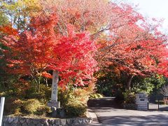 秋はやっぱり京都でしょっ！　２