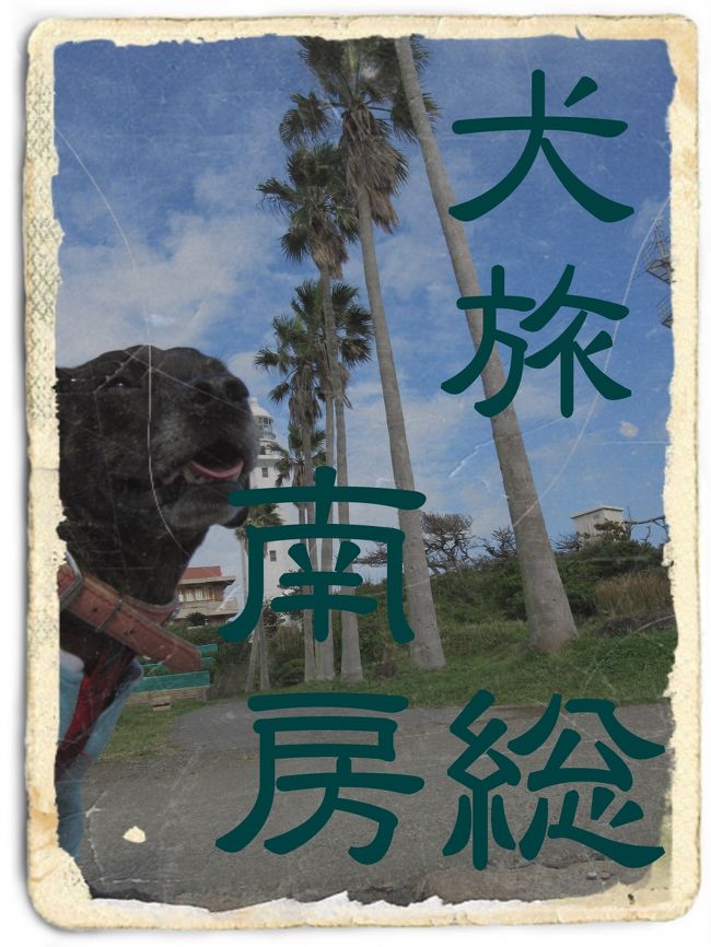 愛犬Ｋｅｎと旅する企画『 犬旅 』<br /><br />第２２回は、南房総。<br />「夏」といえば・・・　う～ みぃ～♪