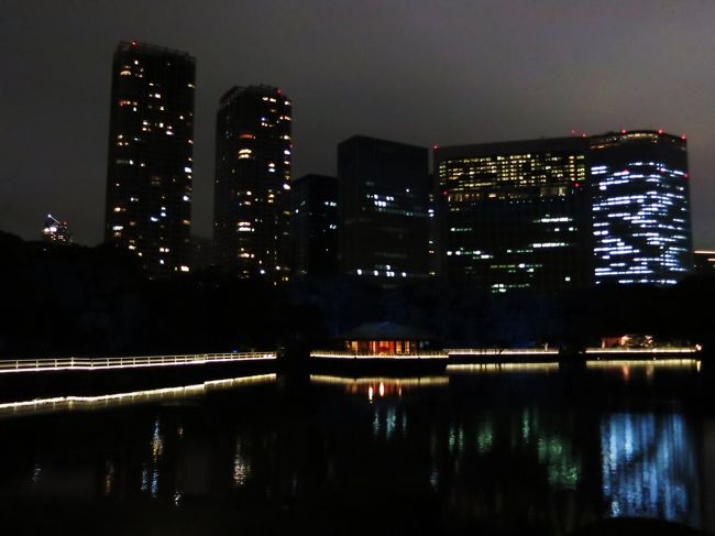 2015年8月。しんどい月でした。しんどい時期を過ぎて行った浜離宮恩賜庭園のライトアップツアー。期間限定・はとバスのみで体験できるというツアーでした。大都会のビルを背負った広い庭園は、そんな景色が嘘のように鈴虫の声に包まれていました。そのほか、1ヶ月の間に都内で訪れ写真に収めたものをまとめてみました。しんどかった時期なので前半はただの愚痴…な独りよがりの文章になっております。<br /><br />&lt;訪れた場所&gt;<br />◎はとバスツアー(浜離宮恩賜庭園・六本木ヒルズ展望台)<br />◎その他(浅草寺・東京スカイツリー・東京タワー・TOHOシネマズ 六本木ヒルズ)<br /><br />&lt;ツアー以外のレストラン＆BAR &gt;<br /><br />◎ラ ローザ デル ヴィニェート/LA ROSA DEL VIGNETO<br />http://la-rosa-dg.jimdo.com/<br /><br />◎Hills DAL-MATTO/ヒルズ ダルマット<br />http://www.dal-matto.com/<br />https://www.facebook.com/hills.dalmatto<br /><br />◎東京ステーションホテルBARカメリア<br />http://www.tokyostationhotel.jp/restaurants/camellia/<br /><br />