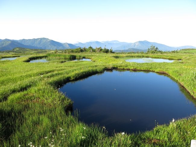 天空の湿原、苗場山は優しい山か？！