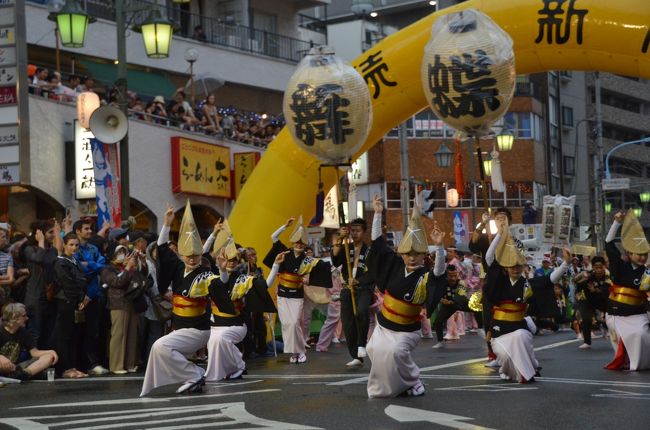 夏の終わりの風物詩　　高円寺阿波おどり2015