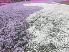 富士宮rafting&芝桜＊1泊2日