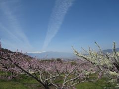 2014年4月　桃源郷を巡る旅