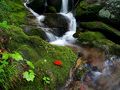 東白川・石川の旅行記