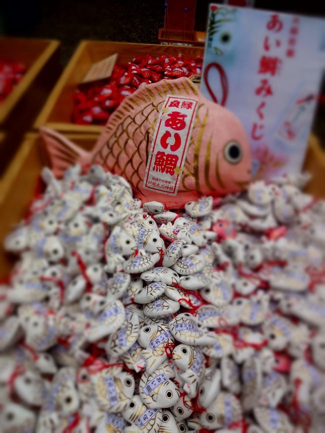 小江戸川越 観光記 時薫るまち川越 蔵造りの町通り 菓子屋横丁 大正浪漫通り 喜多院 川越氷川神社<br /><br /><br /><br />素敵な紹介をしてくださったkuropapaさんに感謝です。<br />茨木/宮城をはじめ台風18号の影響による甚大な被害に見舞われたみなさまにお見舞い申し上げます。<br /><br /><br /> <br /> さて、とびっきりの東京シリーズ最終章、大ラスの最後の日、何処へ行くかは3ケ月前から決めていた。<br />埼玉だ(笑<br />行ったことはもちろん何度もあるけど、旅行として行くのははじめてだ。<br />ってことは、おっアタシの日本地図がひとつ塗り替えられるわけね。ヤッホーw<br />選んだ地は川越、そう小江戸川越である。<br />もぉぉぉとってもベタな選択だろうけど、もぉぉ彼の4トラHPみたとたん行きたくって行きたくって。<br />ちょうど6月のはじめ、こんぴら詣でをはじめて行ってめちゃ楽しかった頃で、何かにめざめたのですね「旅先という」あらたなターゲットが朧ながらも。<br />行くぞ旅!これからもまるくん、自分に言い聞かせてまふw<br />もぉ、東京や京都なんかどうでもよくなって、コペルニクス的まるくんの大転換である。<br />そしたら、その週末、大好きな「ぶらタモリ」で川越が放映。<br />ますます熱が入ったとたん、菓子屋横丁の火災ニュースが。<br />尊い命を失いご冥福とご家族みなさまにお悔やみ申し上げます。<br />当日、遠慮しながら歩いた大通り沿いが二区画一面原っぱになってて痛々しかった。<br />さて、池袋の東武線で川越まで行くとして、駅から観光地までけっこう歩かなくちゃならない。<br />なので、巡回バスなんかも調べた。<br />そうこうしているうちに川越七福神なんてのもヒットしたけどちょっと時間が足りなくなったら困るのであきらめた。<br />帰りは5時30分の飛行機、遅くとも4時には羽田に着いていたい。<br />なんでって?青の飛行機の出発カウンターAの端からDの端までじっくり歩かなくちゃなんないし。<br />え?なんでって?あたりまえでしょ!!<br />川越行を中心に考え、お友達とのプチオフも中日になるなど、旅程をちょっとイジッテ、それでも最終日、宿をけっこう早くでなくちゃならなかった。<br />幸い旅先では4時には目が覚めている(笑<br />朝風呂、朝酒、朝飯には十分余裕があります。これで東京タワーも見納めだ。<br />7時30分にはホテルをチェックアウトして、シャトルバスはまだでないので歩いて浜松町。<br />昔はデートで銀座から浜松町まで何度も歩いた話を昨日お友達にもしたっけ、今じゃあ芝公園から浜松町歩くのさえも必死のパッチだ(汗。<br />はやくも大汗かいてなんとか駅、さ、荷物をロッカーに預けて、と、ってなんですの最近のロッカー、パスコがどうのこうの、ナンバーがどうのこうの、暗証番号?わかりません!鍵で開け閉めするロッカー探しにまた大汗だ。<br />先に種明かしするけど、川越から戻って浜松町、あれれ???自分のロッカーを探すのにまた大汗カキカキだった・・・・・。<br /> 心地よい眠気の中、山手線、新宿から東方面なんて十数年ぶりだ。<br />JR池袋からわりと迷わず東武線、準急とか急行とか意味わかんないから先発の準急に乗った。電車はすごい飛ばしてもう成増。<br />ここを過ぎると景色が劇的に変わった。ああ、田舎だなぁ=と、四国の田舎狸に言われる筋合いないのですけどね。<br />川越駅に9時30分。気持ち的にはちょっと遅れ気味。シャトルバスは9時35分。<br />慌ててコンビニのトイレに走る。<br />シャトルバスの運転手さん、さすがは観光バス、すごい丁重丁寧でこれはぜひ見習いたい。<br />氷川神社へ最初行くつもりが、なんと始発バスは喜多院どまり。<br />次の喜多院のバスが10時8分、20分後に来るので流す程度で喜多院ハイ終了。<br />次のバスはレトロバスだった、途中高校の参観日に大渋滞、大行列に驚いたが、なんだなんだ?<br />ウォーターボーイズがどうのこうの言ってたな、男子シンクロらしい、まったく興味ない(笑<br />氷川神社も流す程度、菓子屋横丁も、蔵の通りも、時の鐘も、大正浪漫通りもスタスタ歩いて流すだけ。<br />あれほど行きたがってたのに歩き疲れだけが残り感動がこれっぽっちも湧かない。<br />しまった、めったに行く機会はないからと入念に下調べし過ぎたのが原因だ。<br />「下調べしたところを、そのとおりだったと確認しました、自分」<br />情報化グローバル化の時代。<br /><br />旅人にはせち辛いのである。<br /><br /><br /><br />