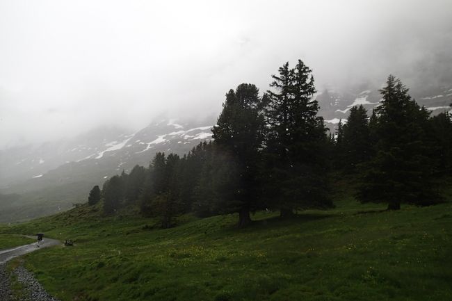 スイス旅行　前半は晴れ　後半は雨-13　雨中のハイキング-クライネシャイデック