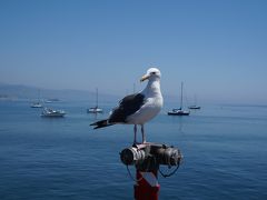 夏旅第一弾　アムトラックで「サンタバーバラ」へ