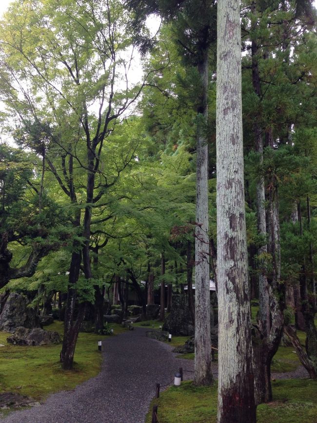 京都鷹峯に連泊した、2015年9月7日月曜日、2泊目の朝です。<br /><br />レストラン「紙屋川」にて和洋ビュッフェ形式の朝食を頂いた後、しょうざんリゾートにある日本庭園「北庭」まで、朝の散歩をしに来ました！<br /><br />この日は、あいにくの曇り空。<br /><br />ですが曇り空の下の日本庭園も、影のある淑やかな雰囲気で、味がありました！