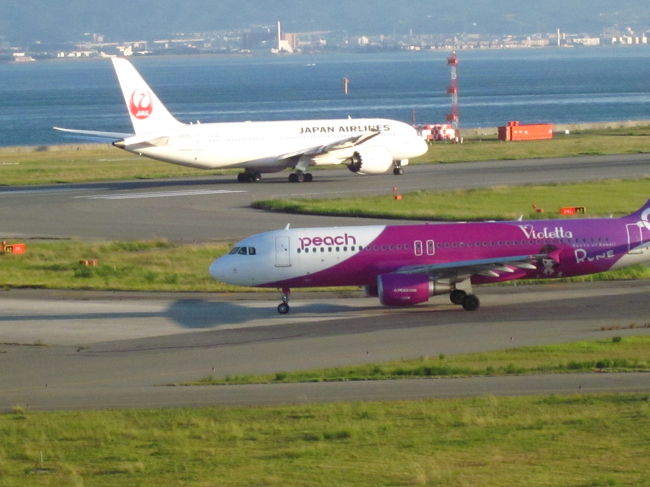 夏休みの旅行は最後の最後に飛行機のDelay<br />関西空港で5時間の時間潰しのため<br />展望デッキへ行ってきました<br />これが更なる悲劇の序章に過ぎなかったとは