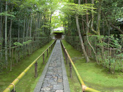 レッツ　ゴー　大徳寺その後は・・・！2015年