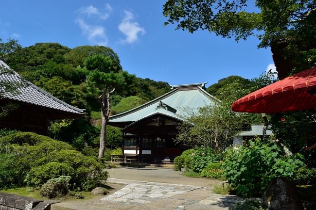 多くの寺社がある鎌倉でもお気に入りの３ヵ寺を訪れました。