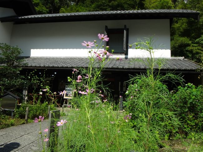 東慶寺で事前予約した水月観音を特別拝観。<br />東慶寺ギャラリートークで三くだり半あれこれ−東慶寺文書展に寄せて−を受講。<br />円覚寺如意庵の安寧でランチ。<br />佛日庵で鎌倉三十三観音第３３札所で結願。<br />