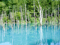 【2015】三世代で行く　みんなが笑顔の北海道：結婚10周年の旅～美瑛編