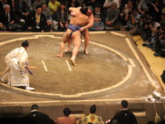 白鳳まさかの黒星スタート