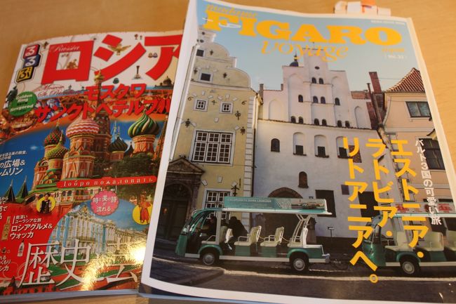 バルト3国をドライブで周遊とサンクトぺテルブルグ＆ストックホルム観光 NO.1旅の始まりはエディハド航空で♪