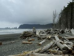 MontanaとWashingtonの公園巡り　7月15日　旅行9日目　Olympic National Park-Rialto Beach-Cape Flattery-Lake Crescent-Marymere Falls